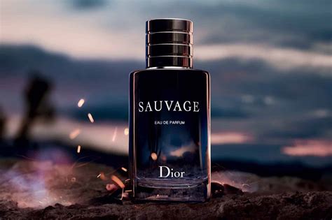 smell of dior sauvage|which Dior Sauvage is best.